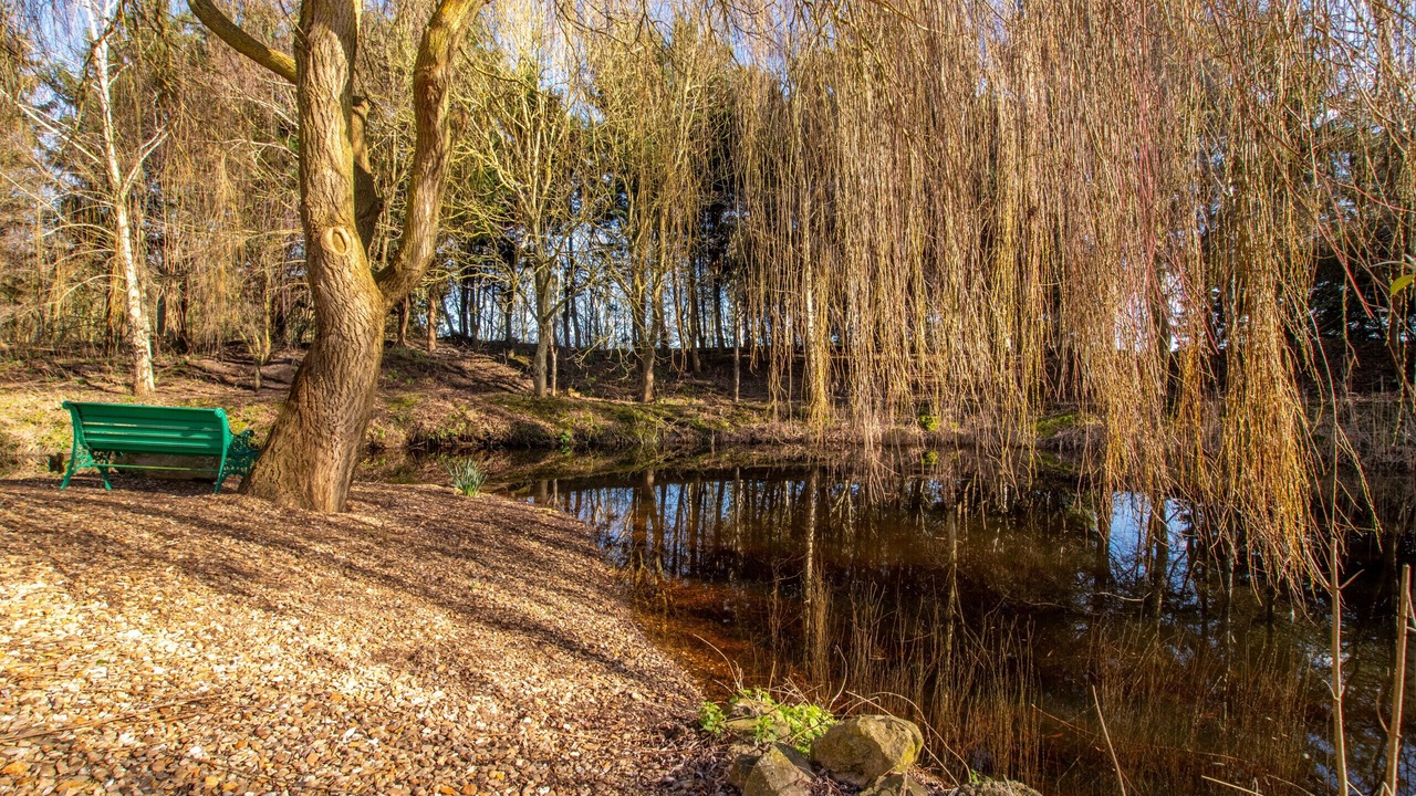 Photo of Others in Little Stukeley