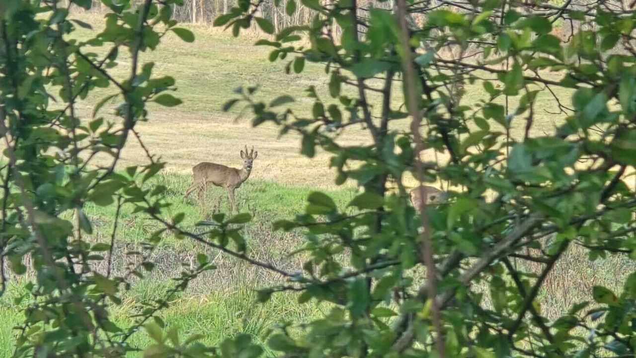 Photo of Others in Saint-Germain-et-Mons