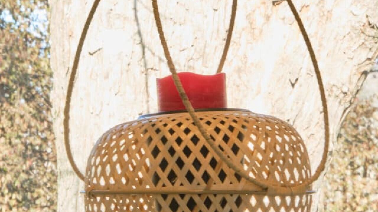 Photo of Others in Midway