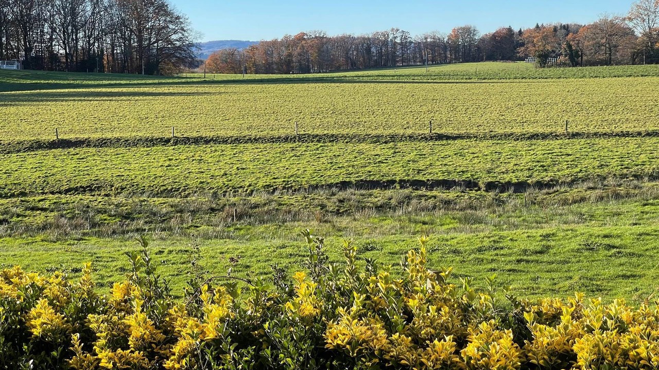 Photo of Others in Saint-Dizier-Leyrenne