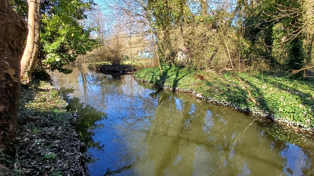 Photo of Others in Amiens