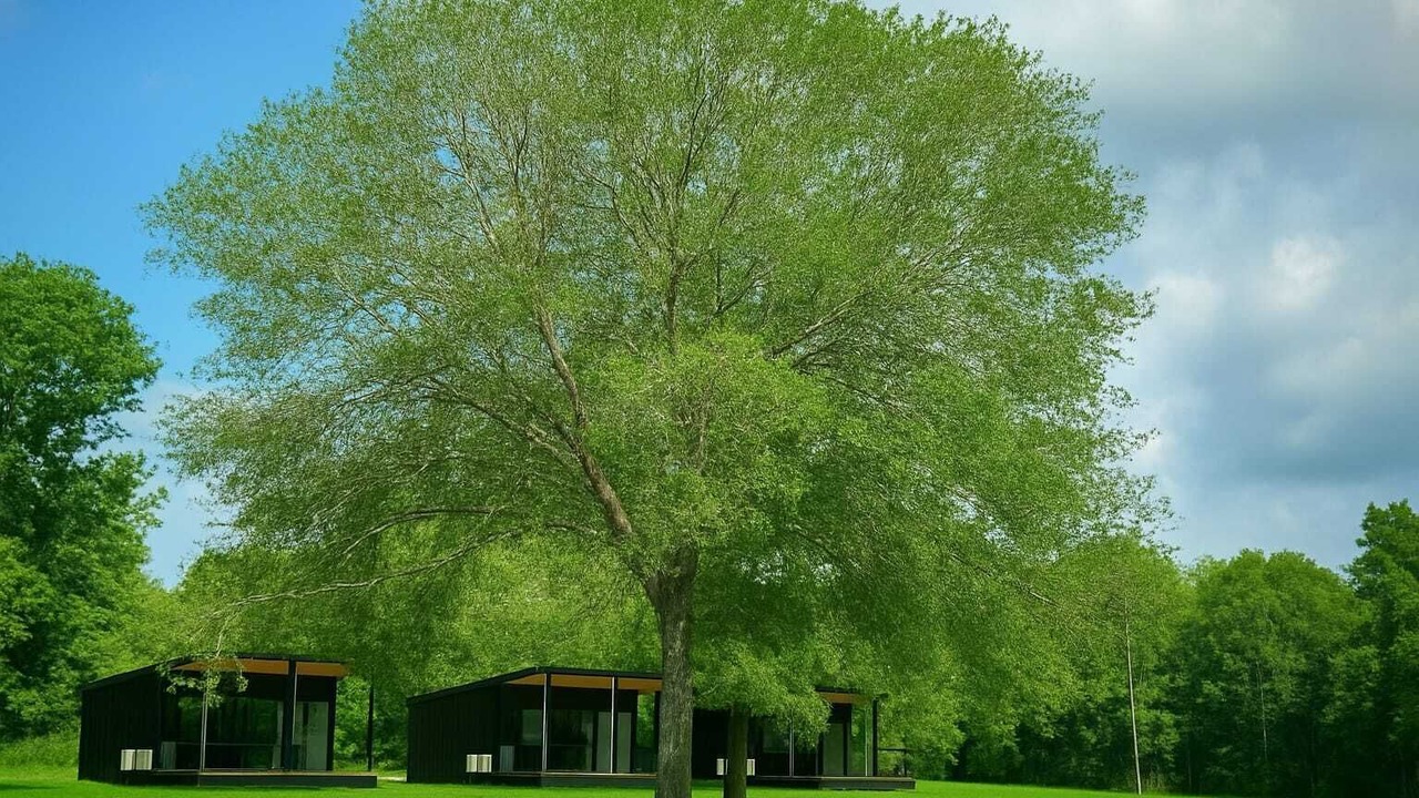 Photo of Others in Waller