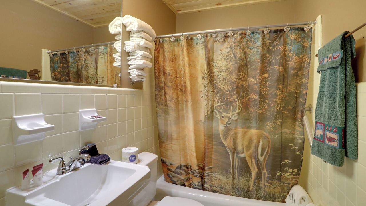 Photo of Bathroom in Greers Ferry
