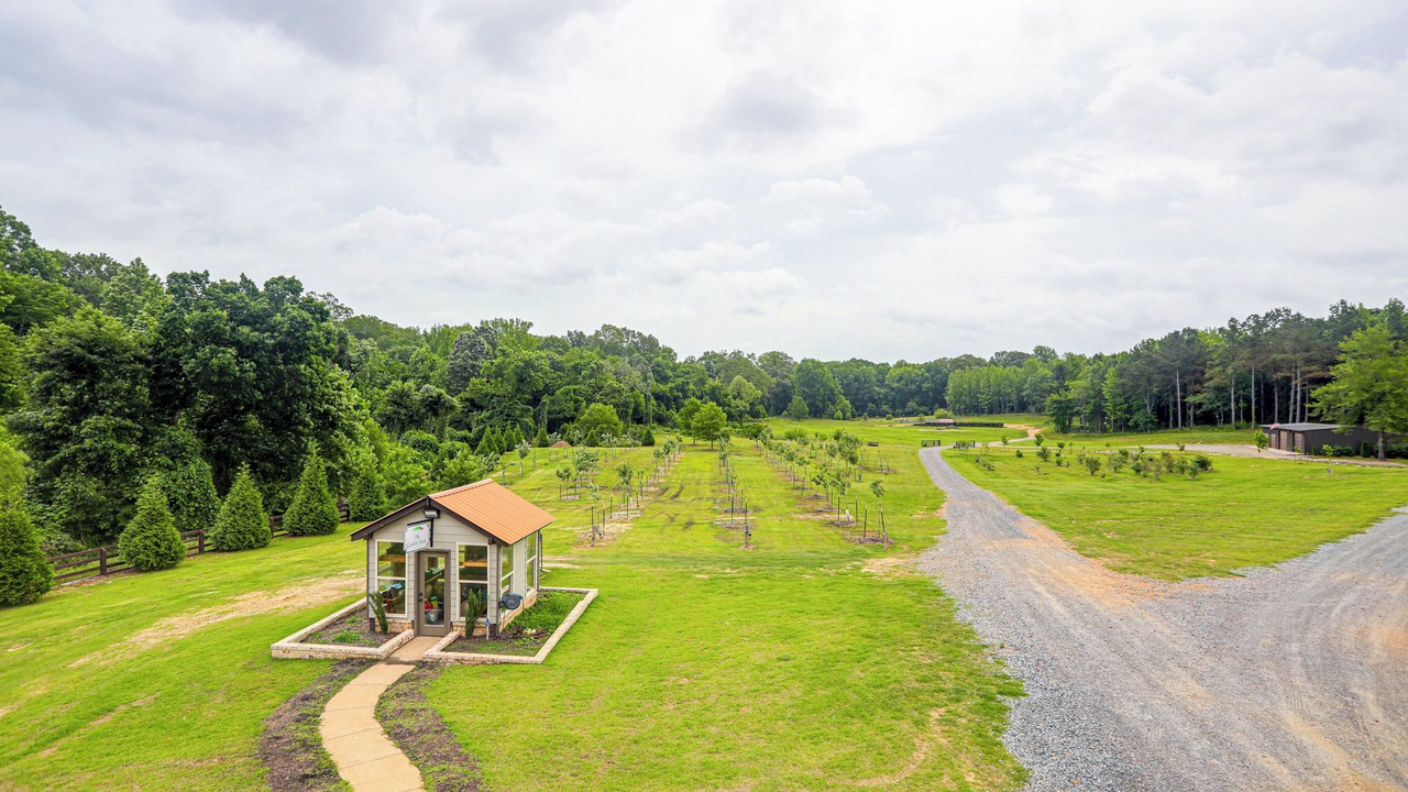 Photo of Outdoor in Hernando