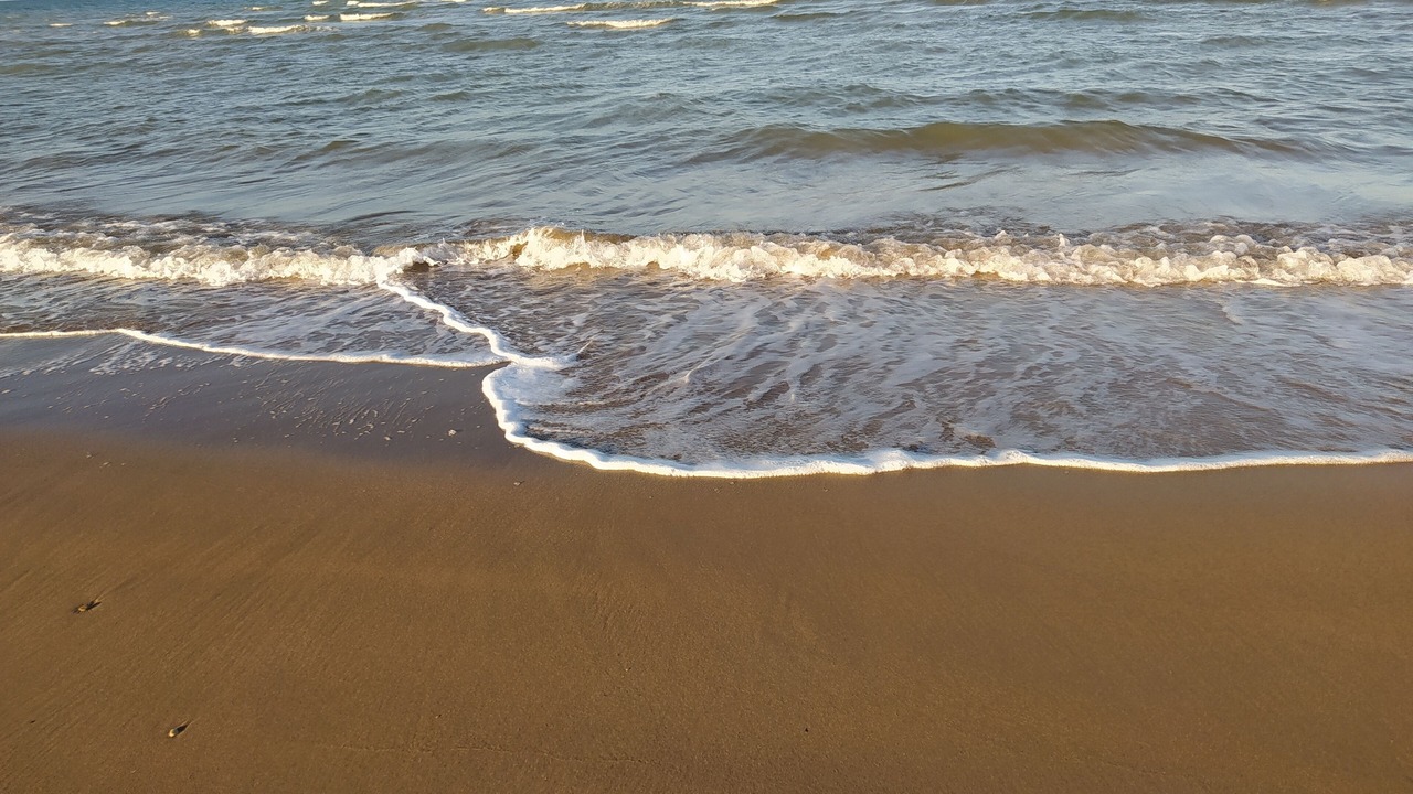 Photo of Others in Sainte-Honorine-des-Pertes