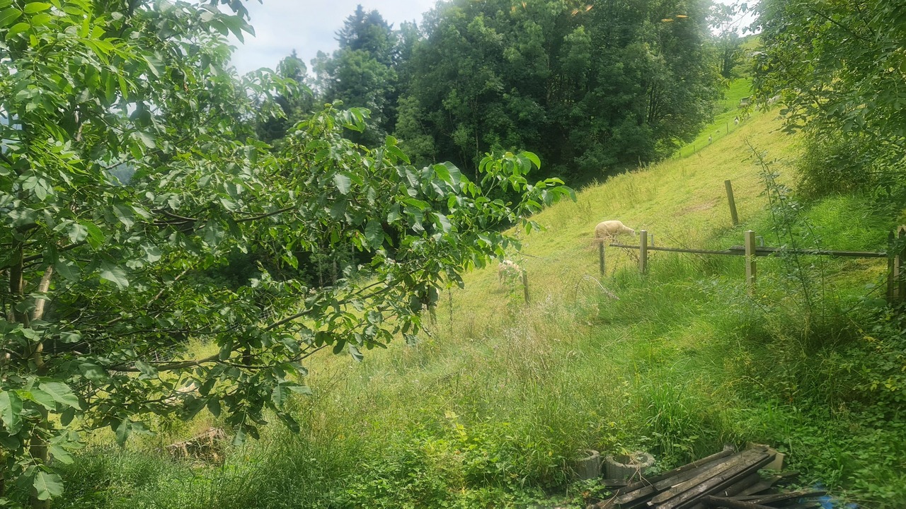 Photo of Outdoor in Speicher