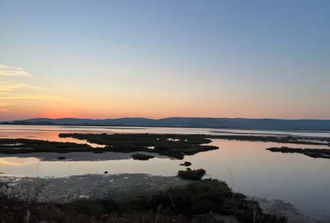 Photo of Others in Perols