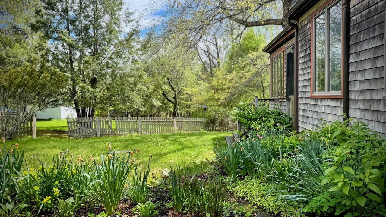 Photo of Outdoor in Blue Hill