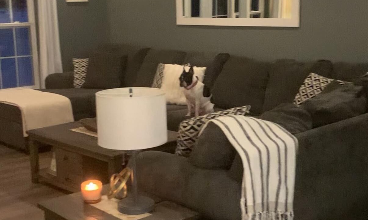 Photo of Livingroom in Georgetown