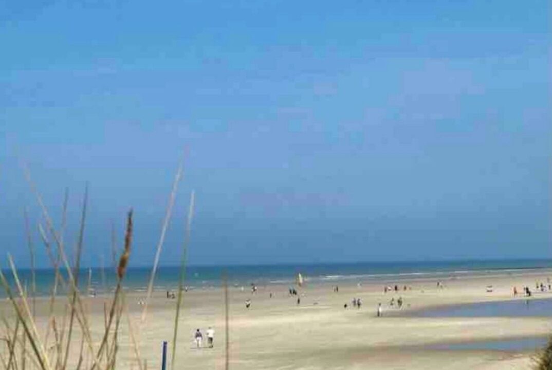 Photo of Others in Attin