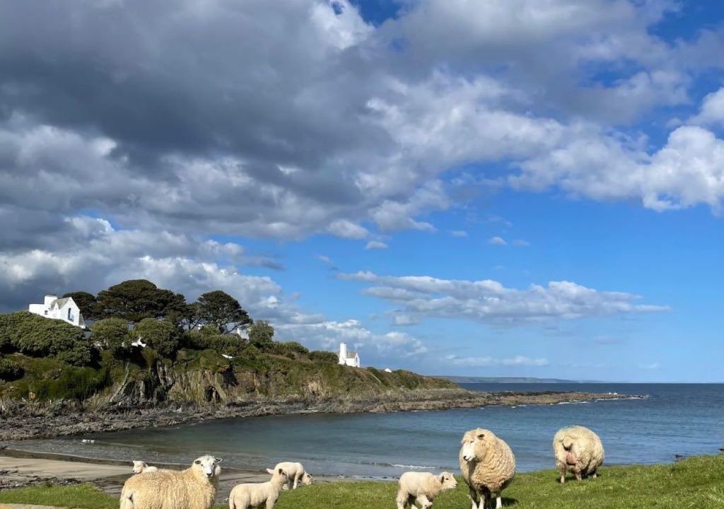 Photo of Others in Gorran Haven