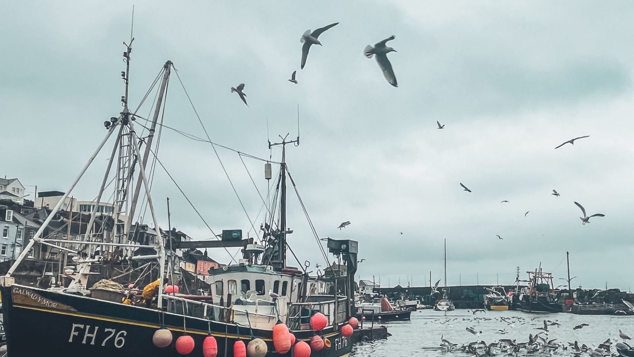 Photo of Bedroom in Gorran Haven