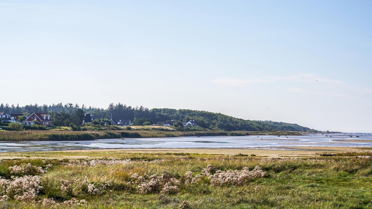 Photo of Others in Bønnerup Strand