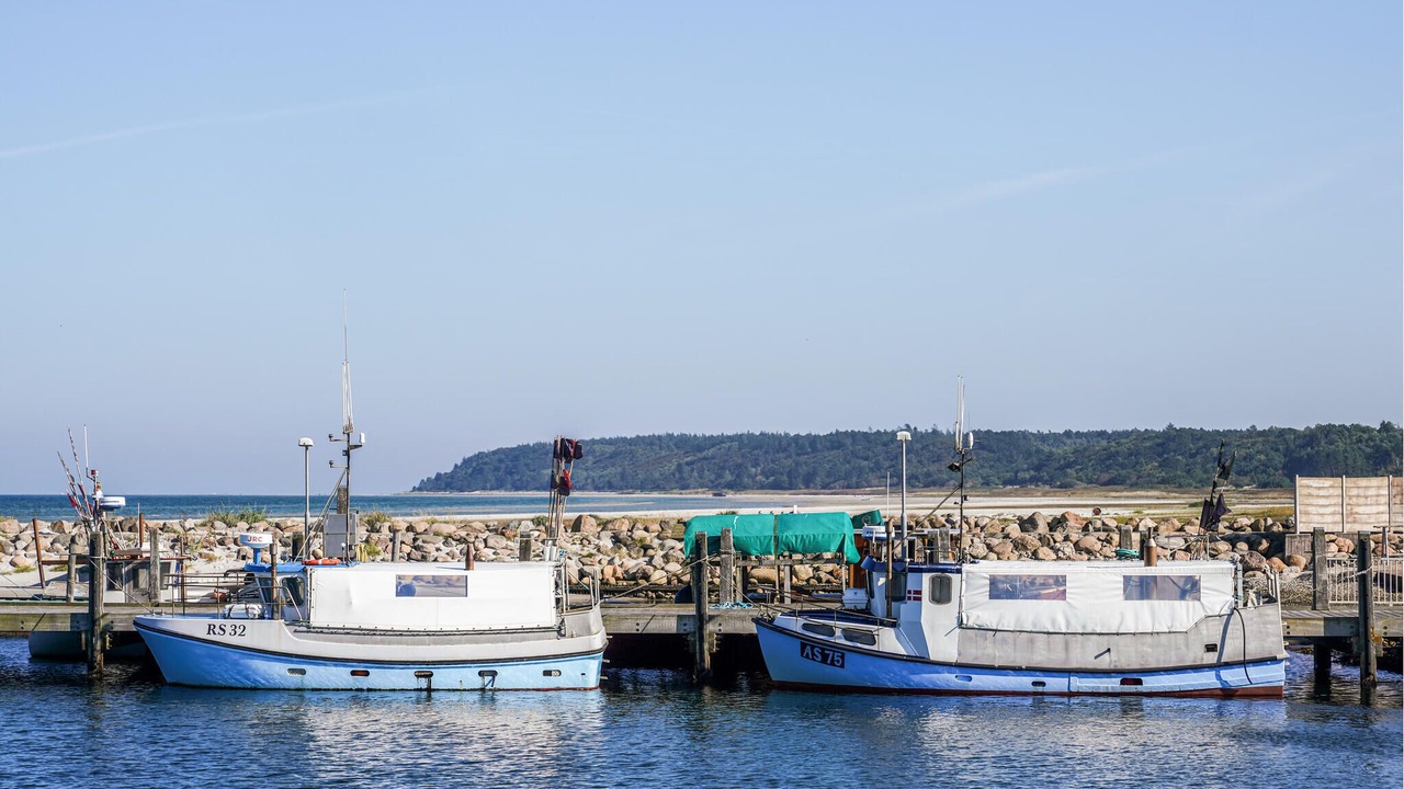 Photo of Others in Bønnerup Strand