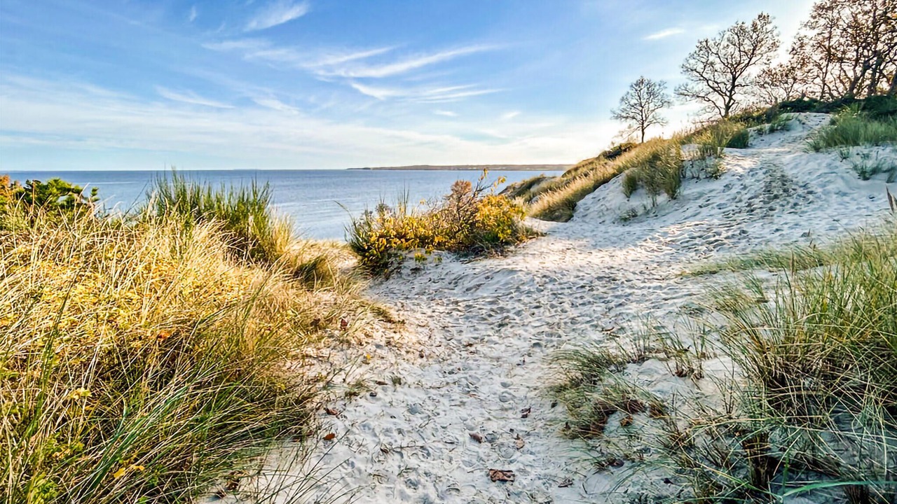 Photo of Others in Hvidbjerg Strand