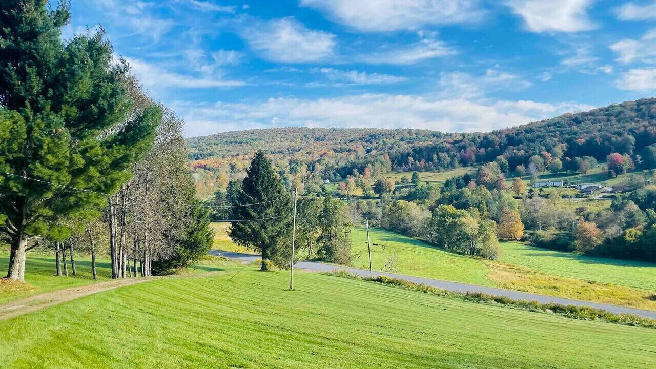 Photo of Others in New Kingston