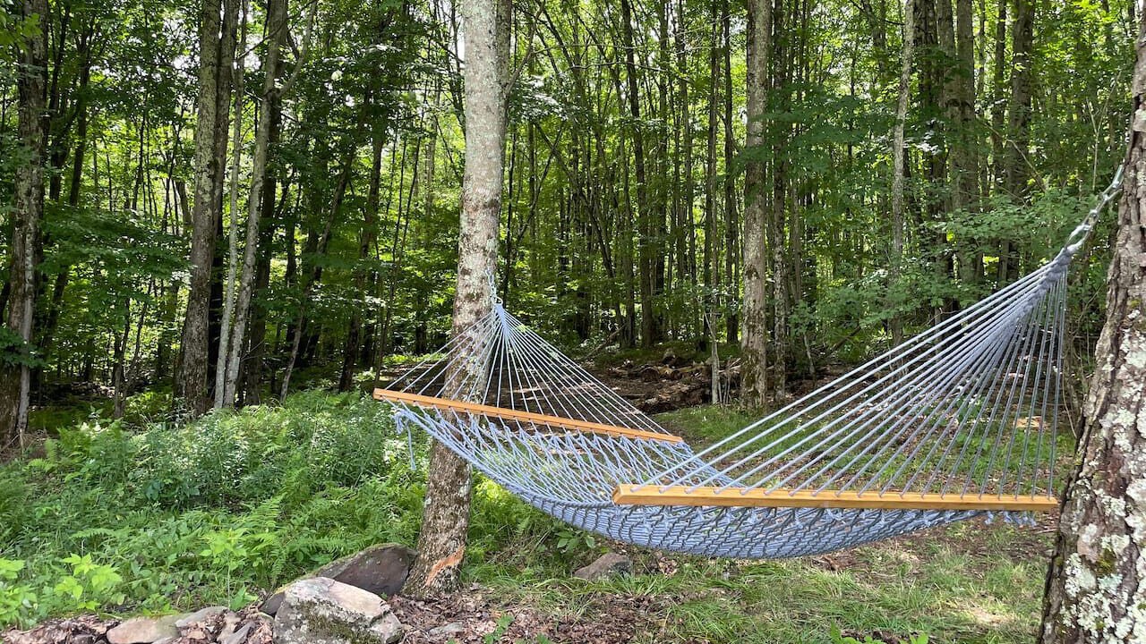 Photo of Outdoor in New Kingston