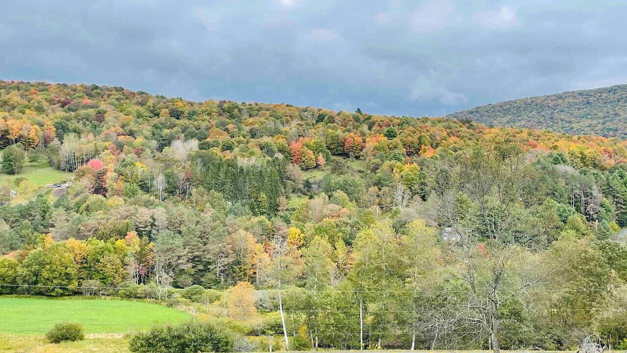 Photo of Others in New Kingston