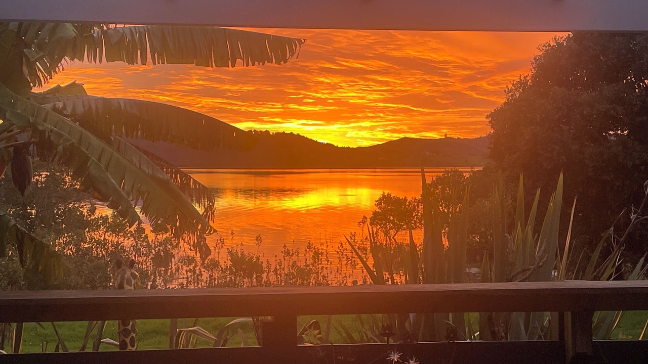 Photo of Others in Whirinaki