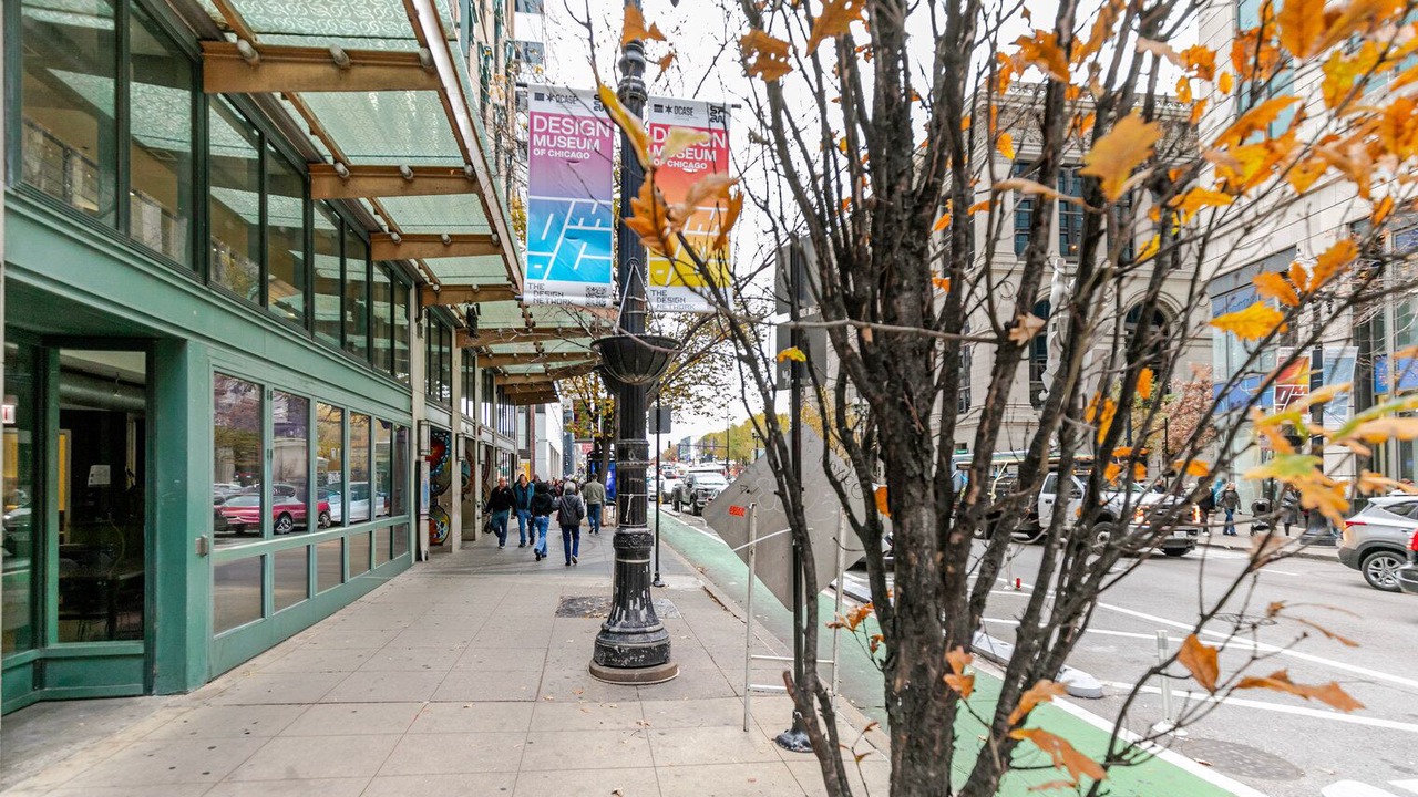 Photo of Others in Downtown Chicago