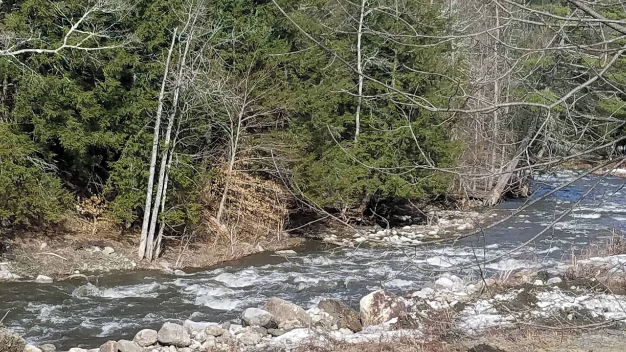 Photo of Others in Bradford