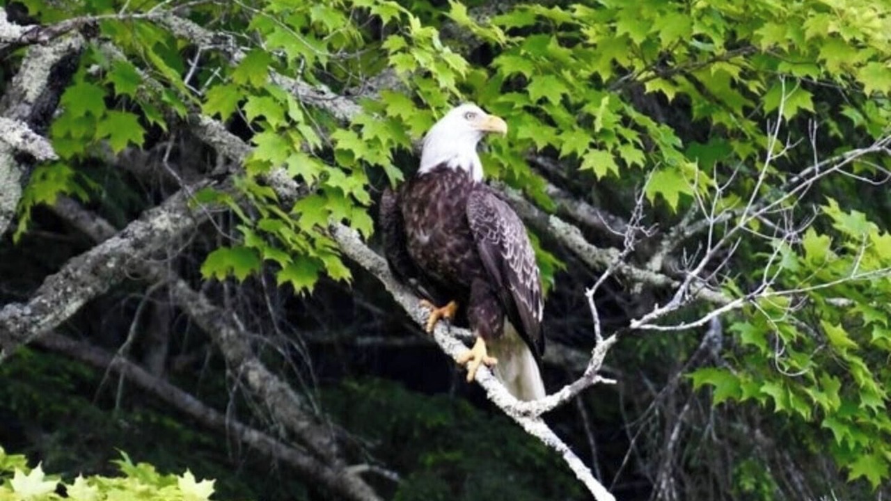 Photo of Others in Bradford