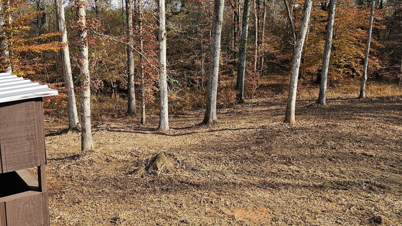 Photo of Others in Alexander City