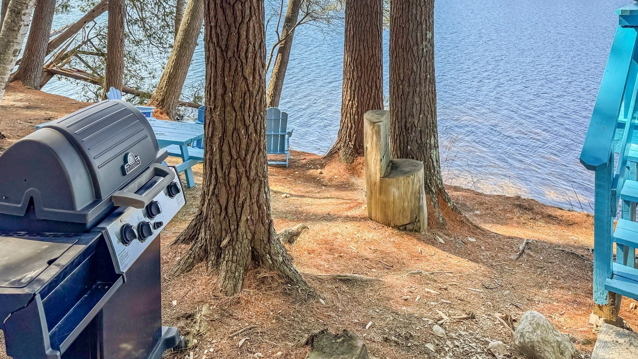 Photo of Outdoor in Orland