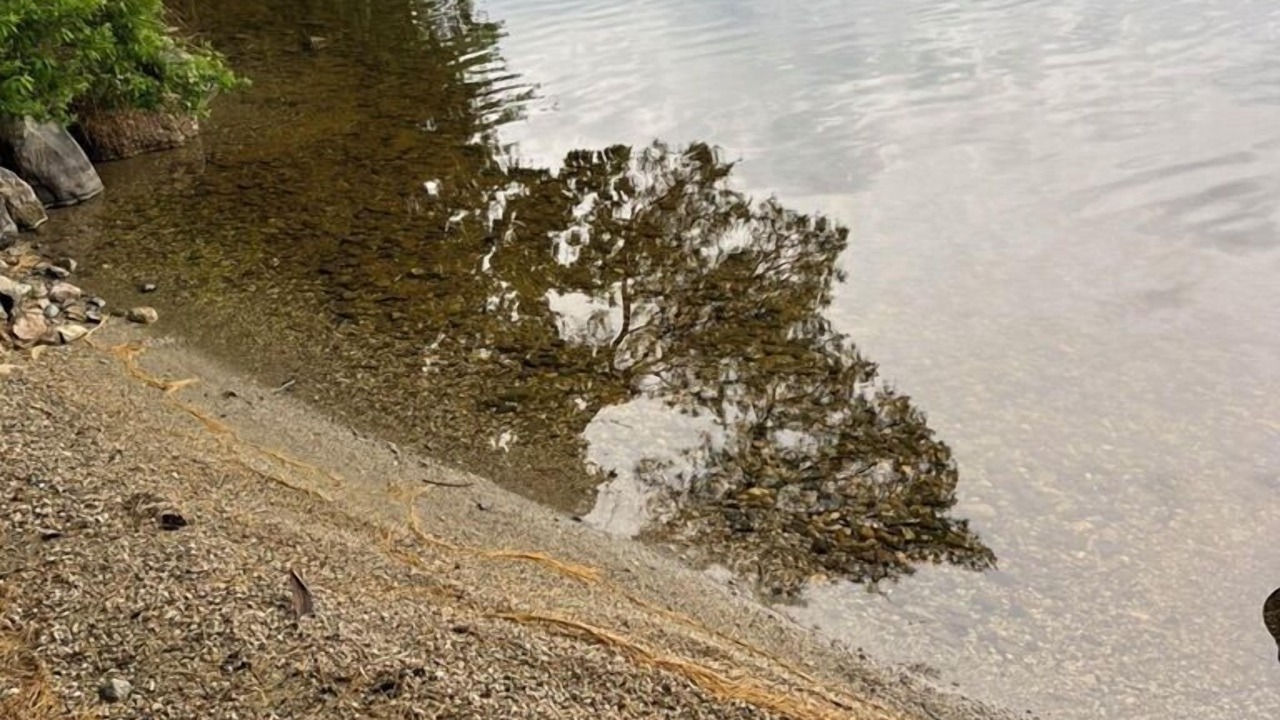 Photo of Others in Orland