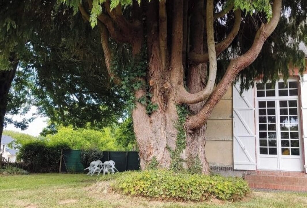 Photo of Outdoor in Lison