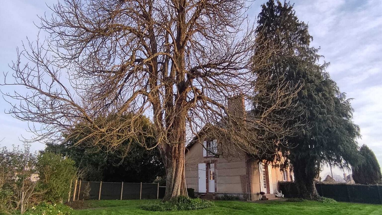 Photo of Outdoor in Lison