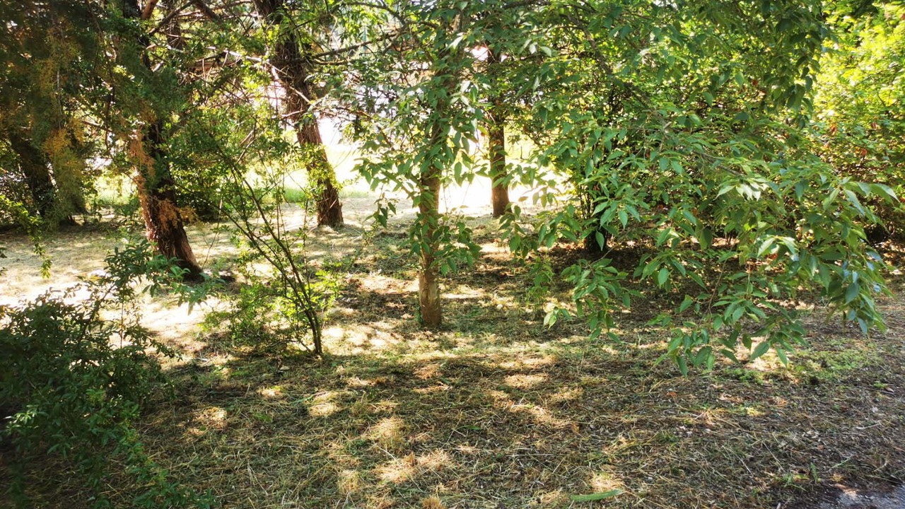 Photo of Outdoor in Laroque