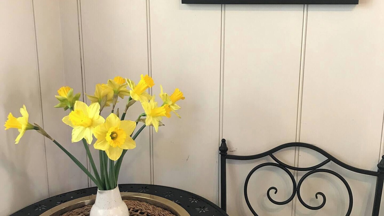 Photo of Outdoor in Shipham