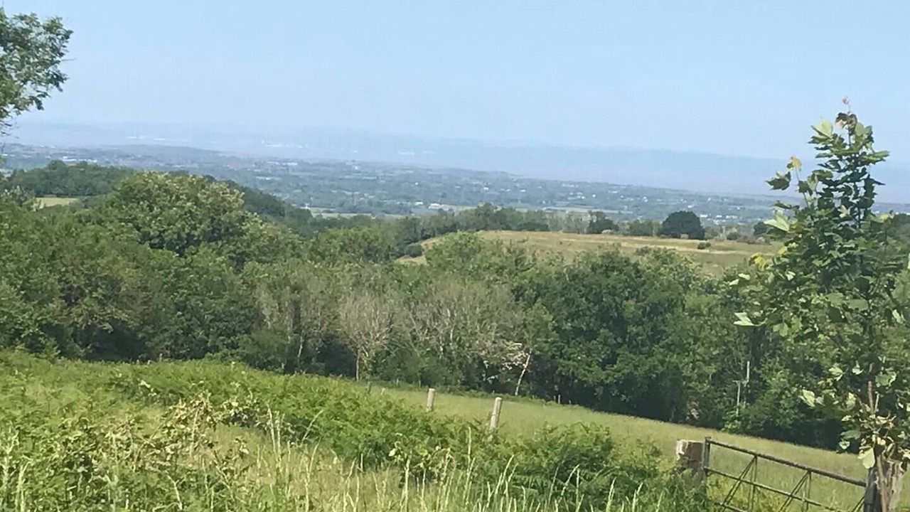 Photo of Others in Shipham