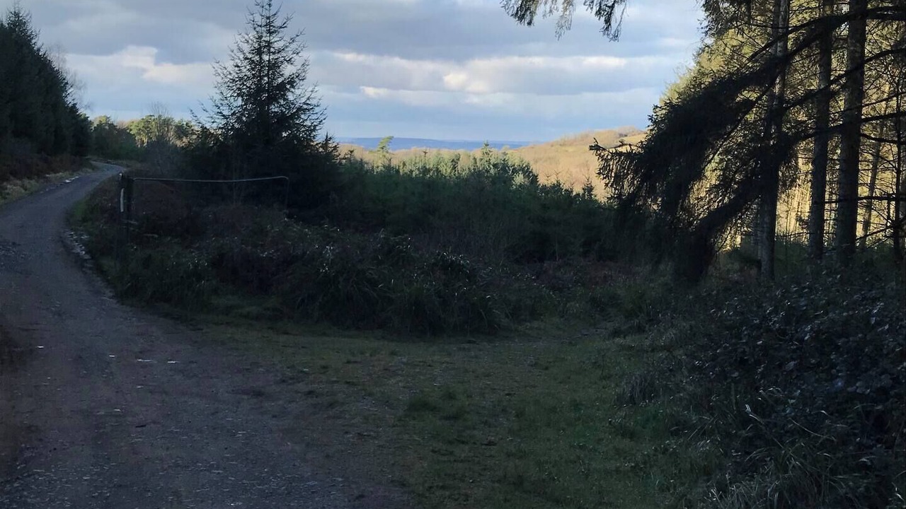 Photo of Others in Shipham