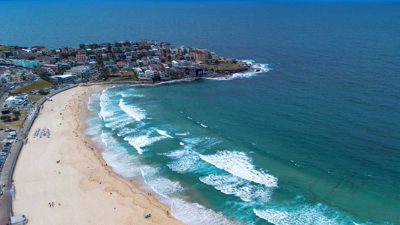 Photo of Others in North Bondi