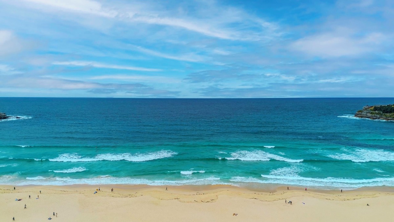 Photo of Others in North Bondi