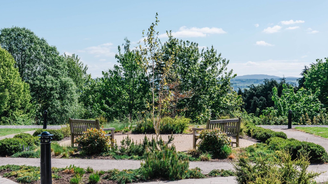 Photo of Others in South Galson