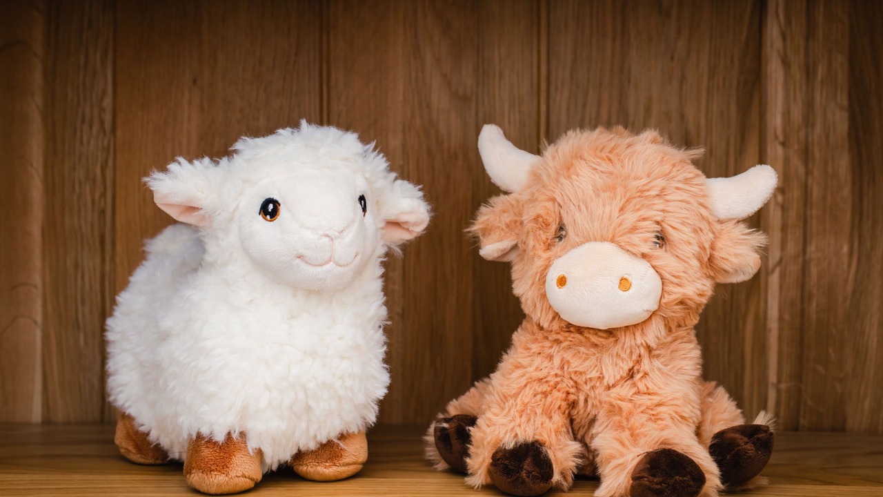 Photo of Others in South Galson