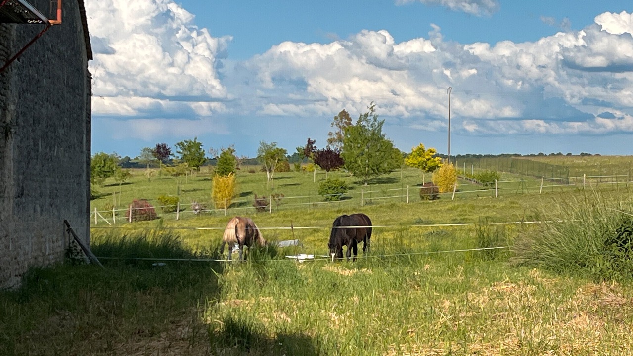 Photo of Others in Vindelle