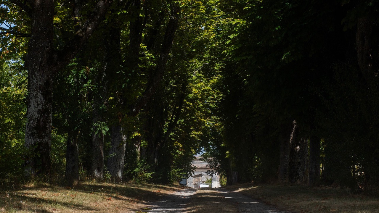 Photo of Others in Vindelle