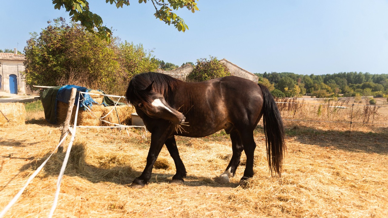 Photo of Others in Vindelle