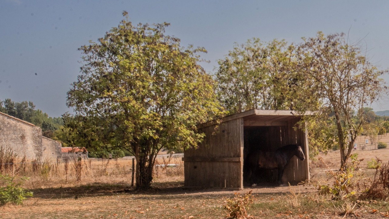 Photo of Others in Vindelle