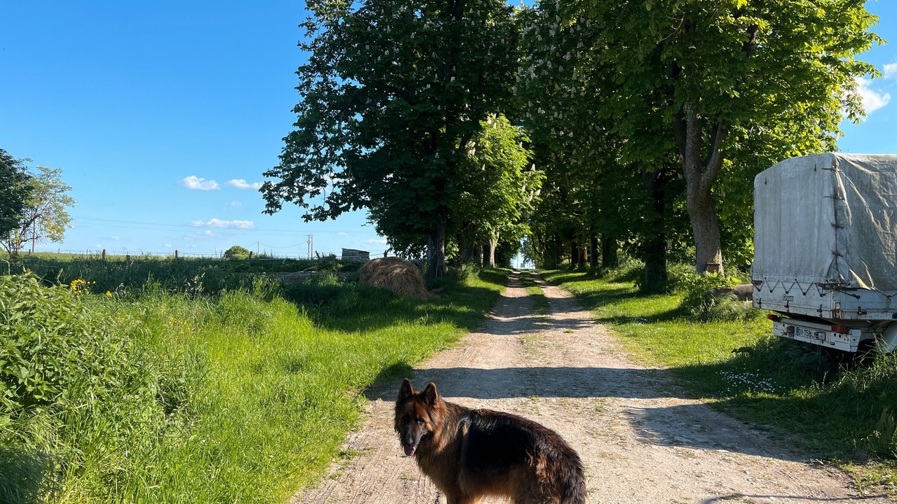 Photo of Outdoor in Vindelle