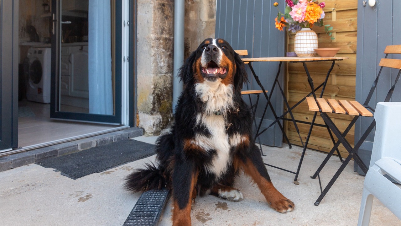 Photo of Outdoor in Vindelle