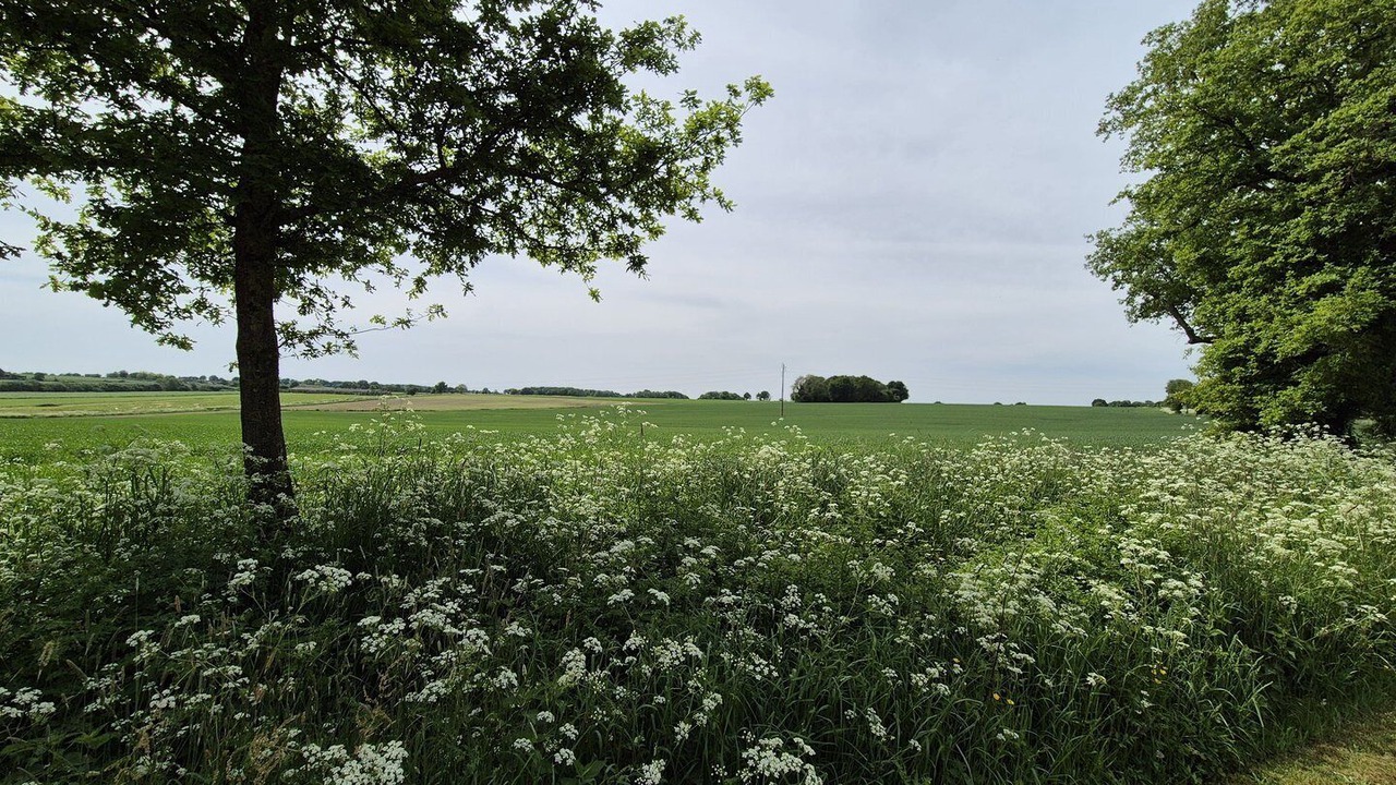 Photo of Others in Saint-Fulgent