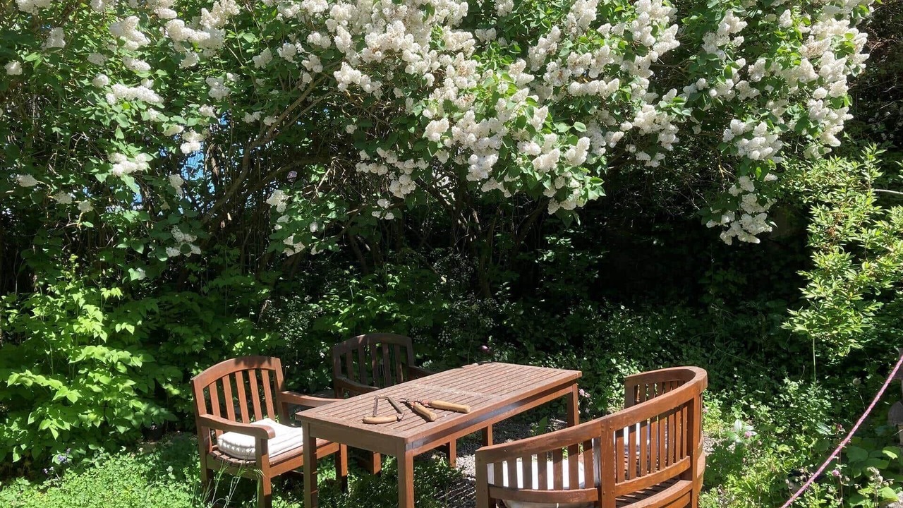 Photo of Outdoor in Borre