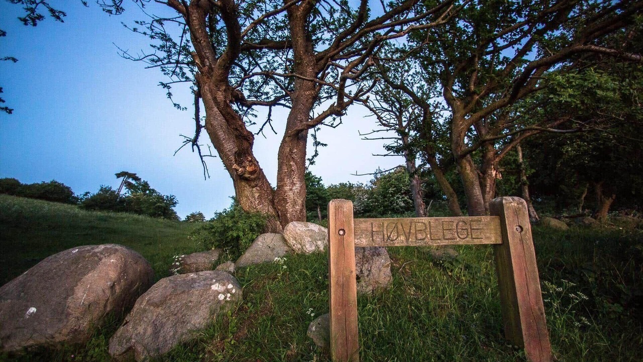 Photo of Others in Borre