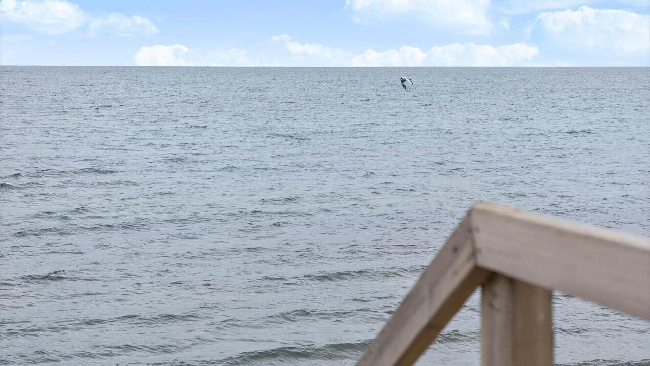 Photo of Others in Stege