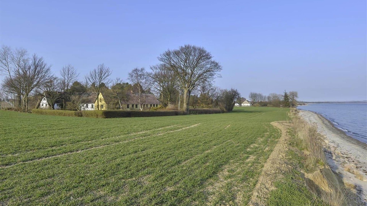 Photo of Others in Stege